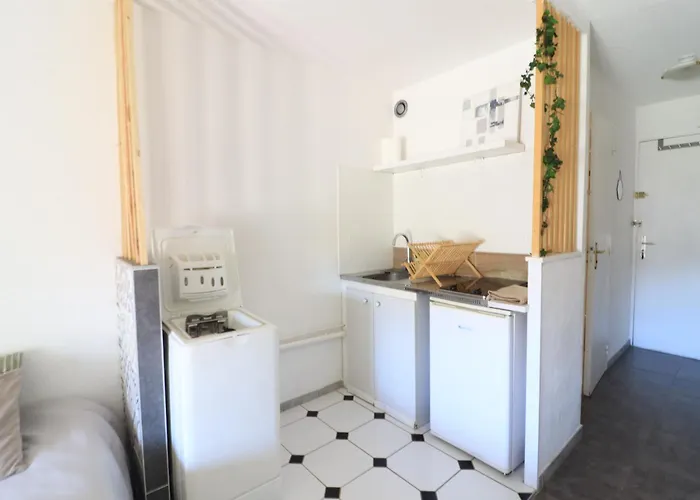 Avec Loggia Idéal Cap D'agde *